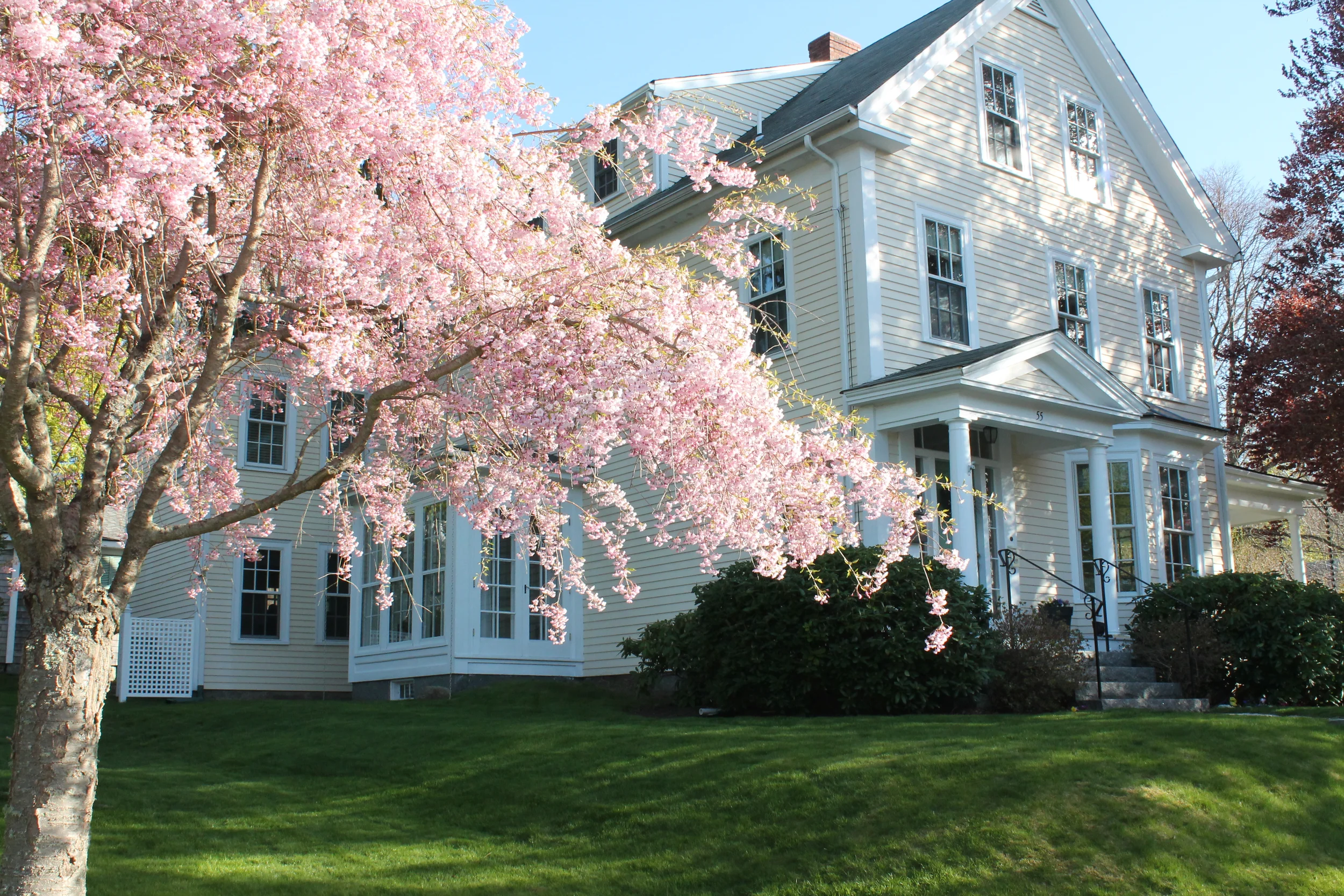 Inn with blooming tree in front of it